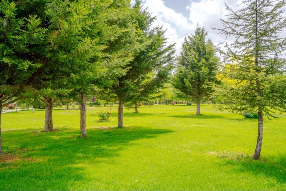 Korel Thermal Resort Afyonkarahisar Dış mekan fotoğraf